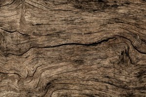 Ученые создали древесину с повышенной устойчивостью к огню и кислоте
