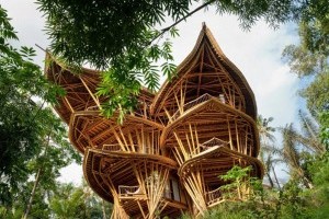 Невероятные архитектурные строения из бамбука (Фото)