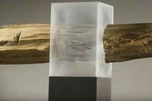 Прозрачная древесина заменит пластик и стекло?