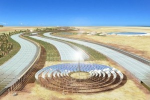 В пустыне Сахара построят уникальные "зеленые" фермы