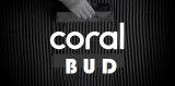 Coral-Bud, OOO в главном строительном портале BuildPortal