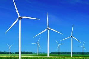 Две компании намерены построить ветровые электростанции в Одесской области 
