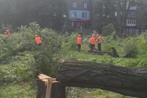 В Запорожье запретили скандальную стройку в парке, хотя деревья уже вырубили