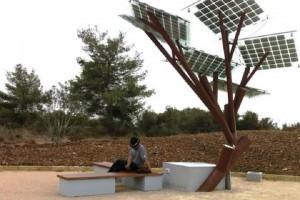 У Кишиневі побудують "сонячні дерева"