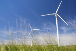 Датская компания построит ветроэлектростанцию под Запорожьем   