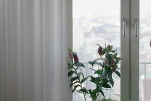 Теперь можно купить шторы, которые сами очищают воздух в комнате