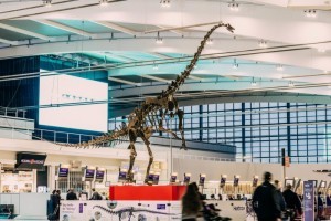 Лондонский аэропорт "украсили" скелетом настоящего динозавра (фото, видео)