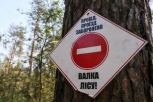 В Святошинском районе незаконно застроили гектар леса гаражами
