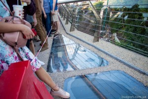 "Скло залишиться": Кличко пояснив, як вдосконалять покриття мосту на Володимирську гірку