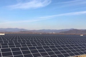 В Закарпатье на месте бывшей свалки открылась новая солнечная электростанция 