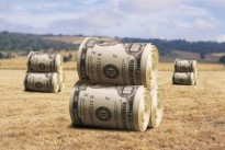 Сколько может стоить 1 га сельхозземли в Украине?