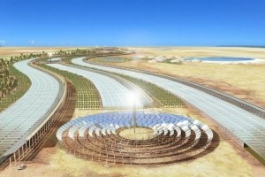 В пустыне Сахара реализуют уникальный проект по строительству "зеленых" продовольственных ферм