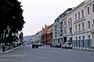 В Тбилиси скоро появится  "зеленая" улица 