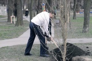 Tree-challenge от «Киевзеленстрой»