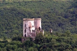 Украинский замок восстановят из руин за 10 миллионов долларов