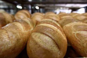 Де в Києві дістати гуманітарну допомогу купити хліба, або корм для тварин (ОНЛАЙН-МАПИ)