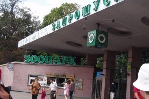 В Киевском зоопарке запланировали масштабную реконструкцию: что изменится?