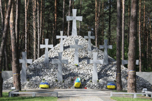 Виділено землю для створення Національного військового меморіального кладовища, його площа сягне майже 100 га