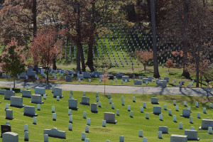 Кабмін визначив нове місце для Національного військового меморіального кладовища