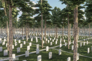 Національне військове кладовище: коли почнуть будівництво і як скоро можуть відбутися перші поховання