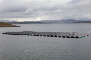 Першу у Туреччині  плавучу сонячну електростанцію встановили на озері-водосховищі Кебан