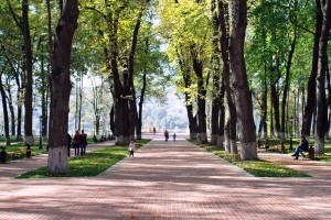В Киеве восстанавливают шесть парков