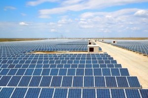 Для строительства солнечных электростанций в зоне отчуждения выделено 1,2 тыс. га земли