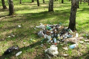 Штрафы за мусор в лесу увеличены в пять раз