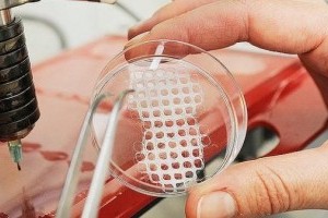 Уникальное открытие в 3D-биопечати
