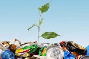 Как правильно сортировать бытовые отходы