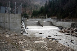 WWF: «Неконтрольоване будівництво малих гідроелектростанцій в Україні може призвести до екологічної катастрофи»