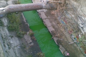 Столичные активисты встревожены: строительство эстакады может уничтожить природное русло реки Лыбедь