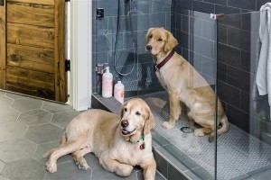 Душевые для собак – новый тренд в дизайне дома