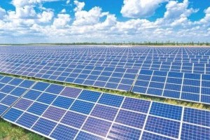 На Кіровоградщині планують звести найбільшу в Україні сонячну електростанцію 