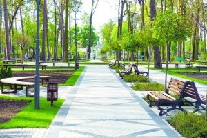 В одном из районов Киева реконструируют парк