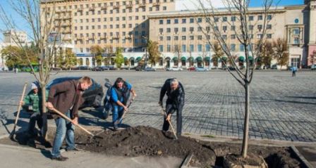 Харьковские коммунальные службы высаживают новые деревья в городе
