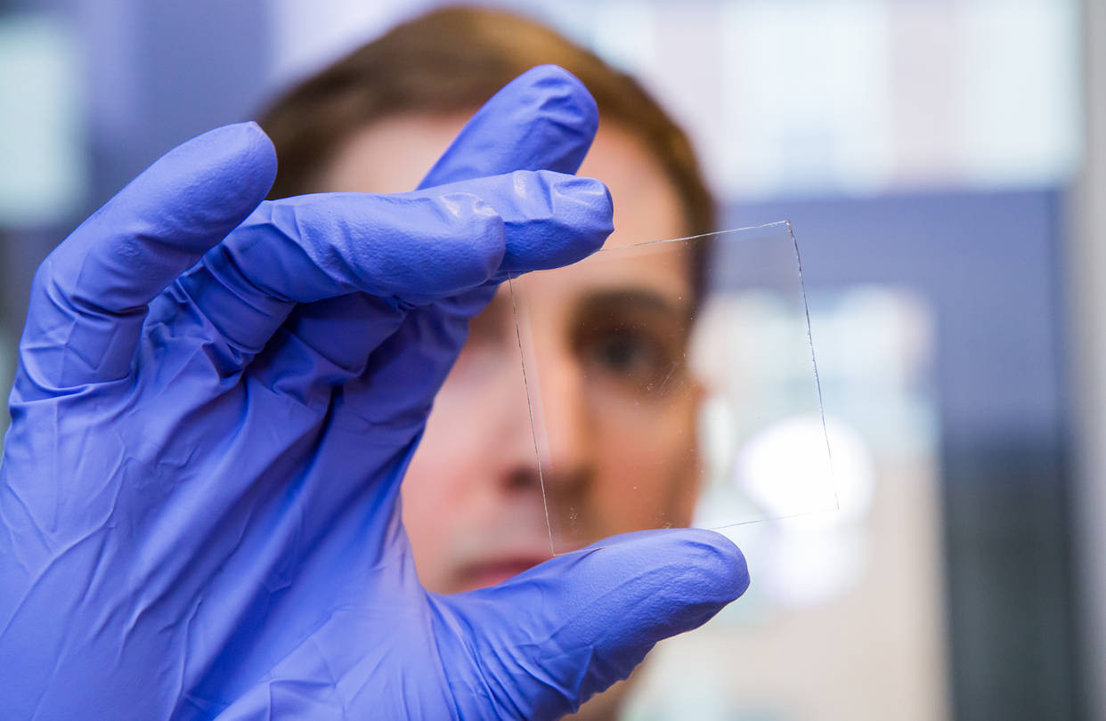 Вчені розробили розумні вікна з прозорї деревини, що замінить скло та знизить витрати на опалення