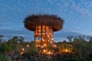 Почувствуй себя птицей : в Кении построили необычный отель (фото)