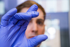 Вчені розробили розумні вікна з прозорї деревини, що замінить скло та знизить витрати на опалення