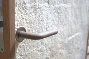 Данія розробила двері з грибів із потенціалом масштабного виробництва