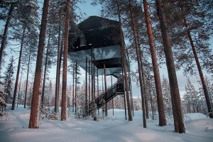Под северным сиянием: в Лапландии построили отель на деревьях (фото)