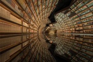 Путешествия в иные миры: в Китае появилась футуристическая библиотека с арочными стенами книг (фото)