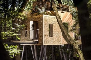 Мечта каждого ребёнка глазами взрослых: в Англии построили необычный домик на дереве (фото)
