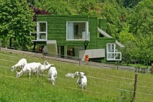 В Австрии построили зелёный дом для фанатов необычных материалов (фото)