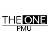 THE ONE PMU