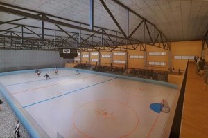 Як виглядатиме новий спорткомплекс із льодовою ареною у Львові (ФОТО)
