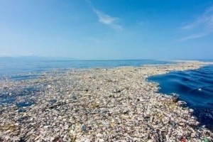 Китайцы начали производить биоразлагаемый пластик