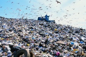 Будувати сміттєпереробний комплекс у Львові хочуть 12 компаній