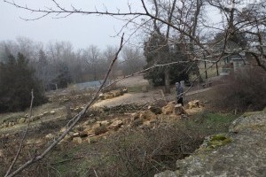 На территории бывшего санатория в Одессе вырубили деревья: будет новостройка (фото)