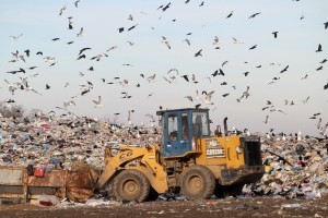  Вокруг Киева нужно строить не мусорные полигоны, а современные мусороперерабатывающие заводы – Кличко
